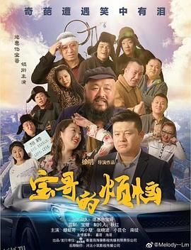 宝哥的烦恼 海报