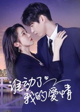 谁动了我的爱情 海报