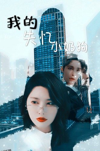 我的失忆小奶狗 海报