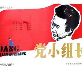党小组长 高清海报