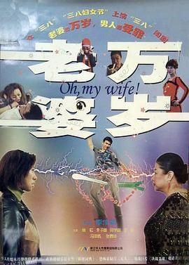 老婆万岁 海报