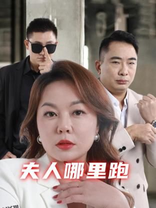 夫人哪里跑 海报