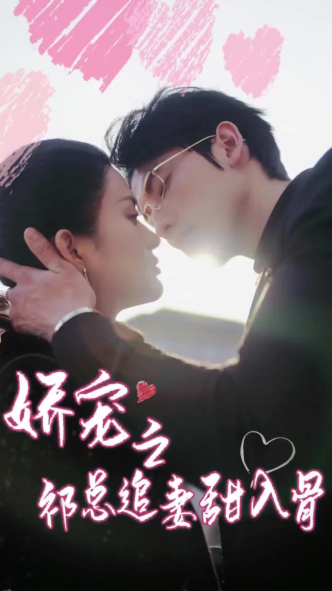 娇宠之祁总追妻甜入骨 海报