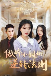 傲娇小姐的逆转法则 海报