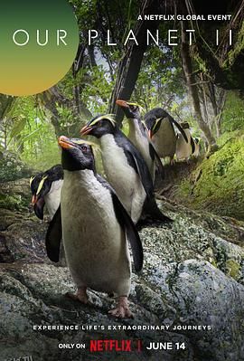 我们的星球第二季 海报