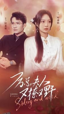 厉总夫人又撩又野 海报