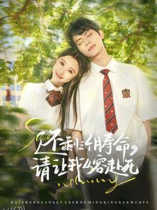 还剩三个月寿命，请让我从容赴死 海报