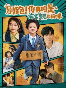 别跑你真的是首富崽崽的妈咪 海报