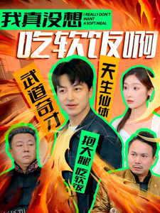 我真没想吃软饭啊 海报