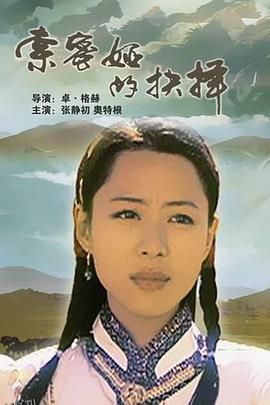 索密娅的抉择 海报