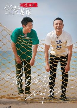 你好生活 第四季 海报