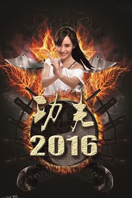功夫2016 海报