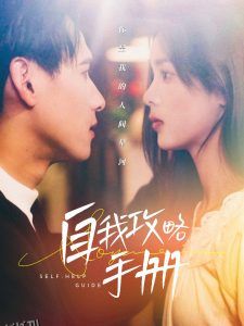 自我攻略手册 高清海报