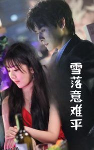 雪落意难平 海报