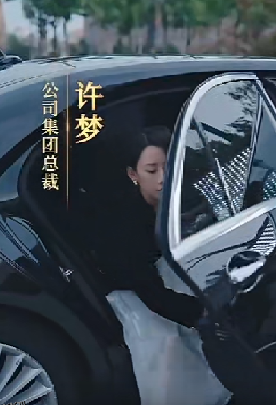 女老板的复仇 海报