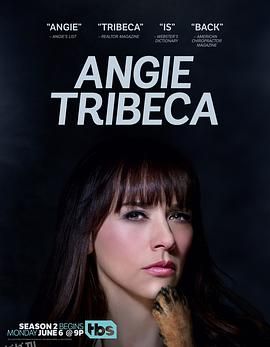 爆笑女警第二季 海报