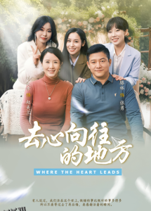 去心向往的地方 海报