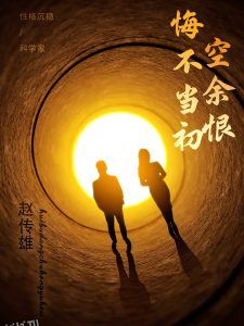 悔不当初空余恨 海报