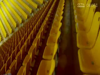 WCBA常规赛B组 黑龙江上东VS厦门环东文旅 20250105 高清海报