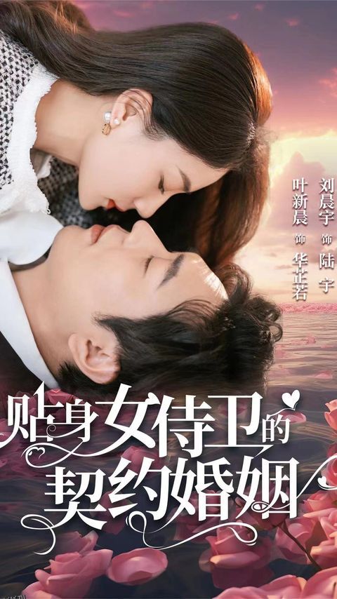 贴身女侍卫的契约婚姻 海报