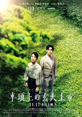 车顶上的玄天上帝 海报