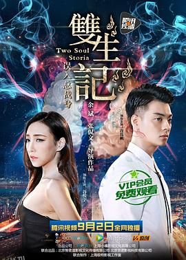 双生记之误入总裁身 海报