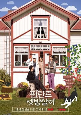 芬兰租房生活 高清海报