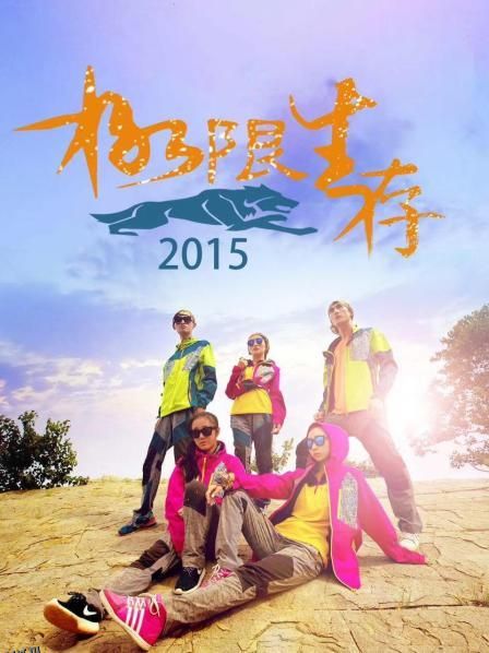 极限生存2015 海报