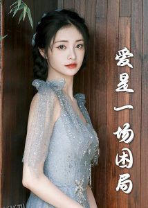 爱是一场困局30集 高清海报