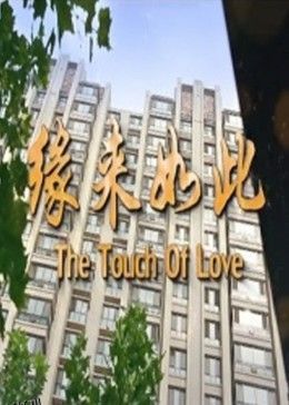 缘来如此2017 海报