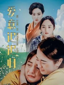 爱意迟迟归 海报