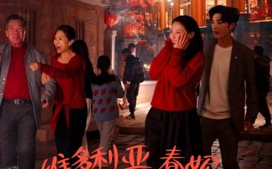 维多利亚春妮回家过年100招 海报