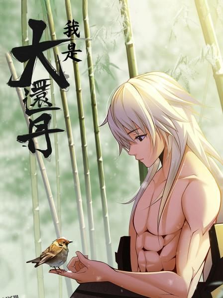 我是大还丹 海报