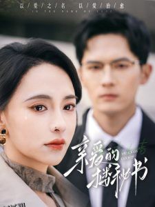 亲爱的楼秘书 海报