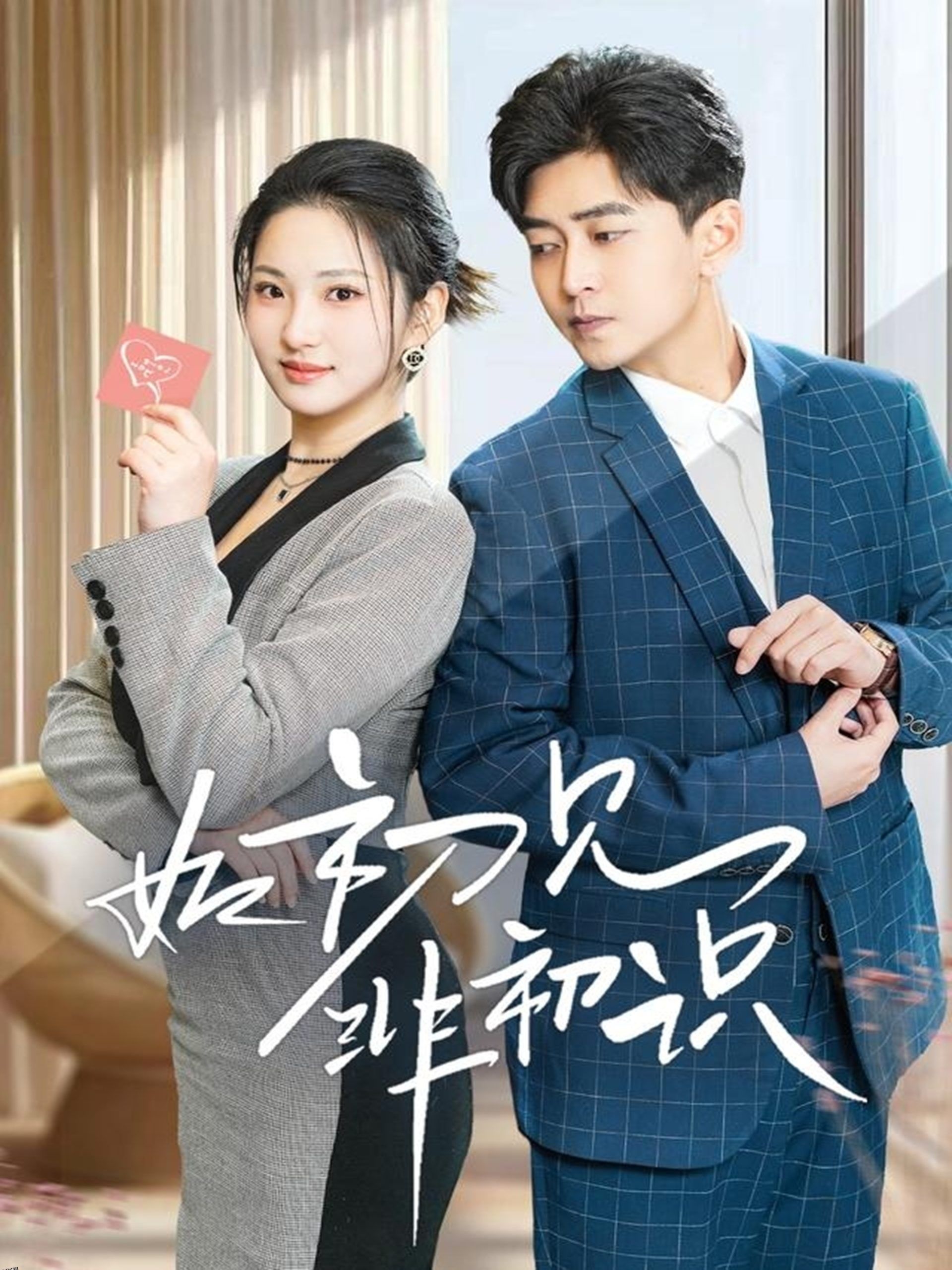 如初见非初识 海报