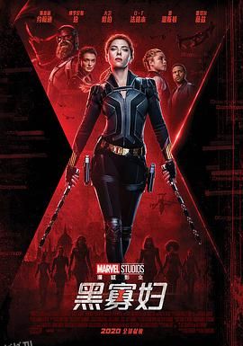 黑寡妇[电影解说] 海报