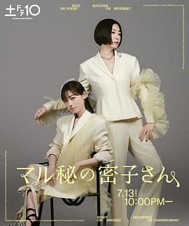 绝密的密子小姐 高清海报