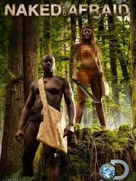 赤裸与恐惧第四季 海报