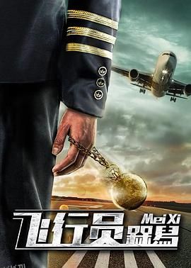 飞行员呆呆鸟 海报