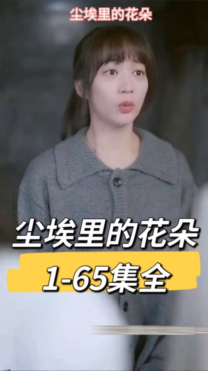 尘埃里的花朵 海报