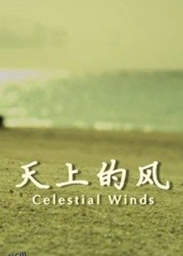 天上的风 海报