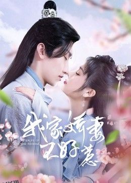 我家娇妻不好惹 海报