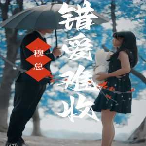 穆总错爱难收 海报