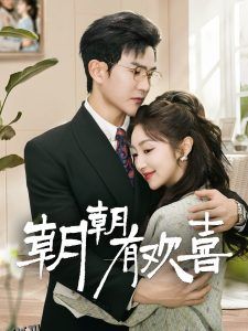 朝朝有欢喜 海报