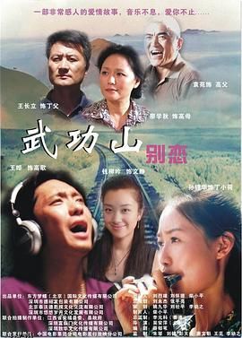 武功山别恋 海报