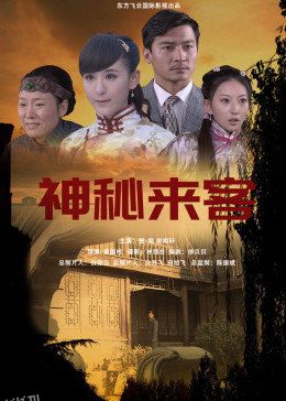 神秘来客2014 海报