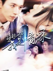 安能知我是情深 海报