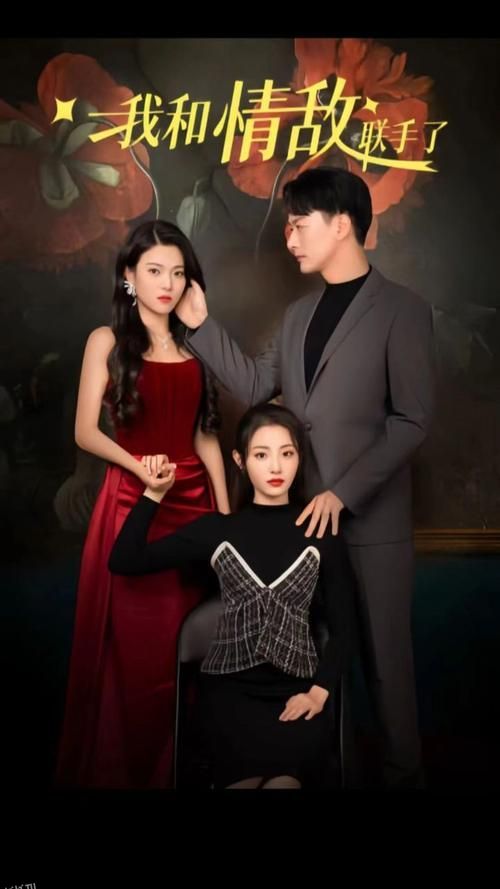 我和情敌联手了 海报