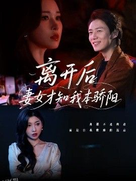 离开后妻女才知我本骄阳 海报