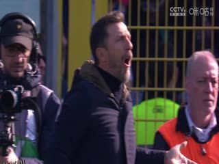 意甲联赛 科莫VS威尼斯 20250308 海报